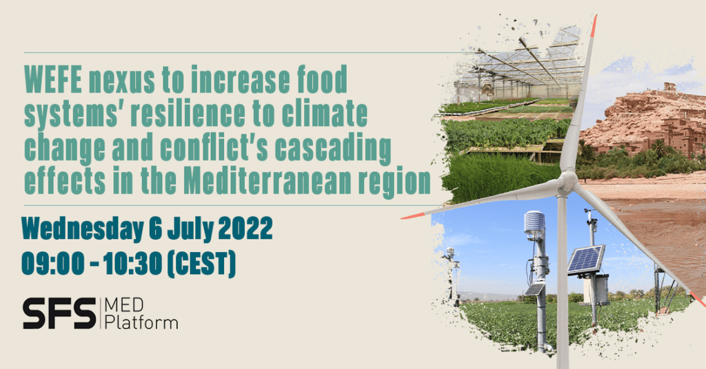 Water-Energy-Food-Ecosystem (WEFE) Nexus to increase food systems’ resilience to climate change and conflict’s cascading effects in the Mediterranean region