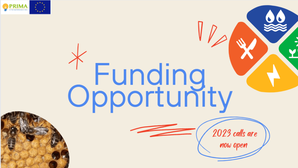 Funding Opportunities: The 2023’s Calls are Open