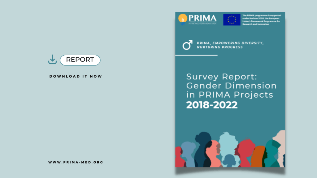 Shaping equality: PRIMA Gender Dimension Report is now available