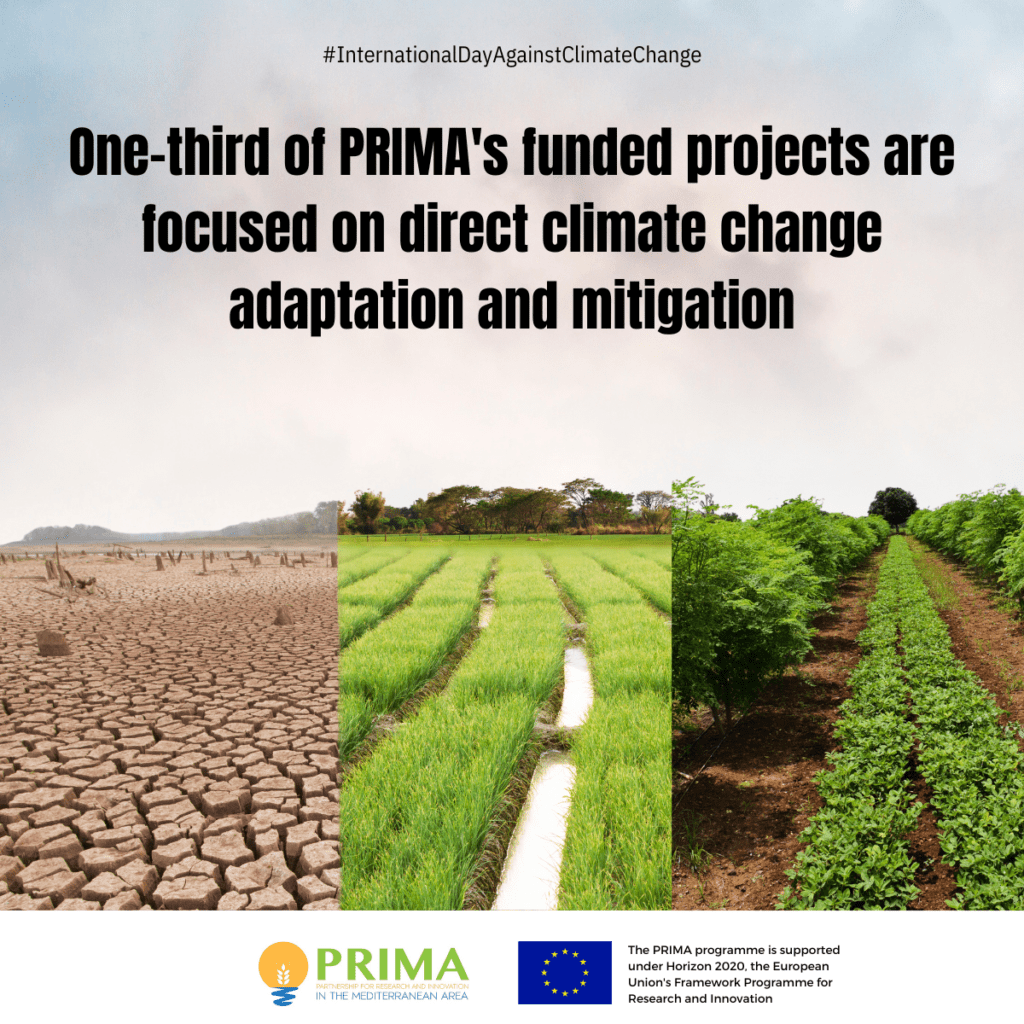 Celebrating International Day Against Climate Change: PRIMA’s Commitment to Climate-Resilient Farming