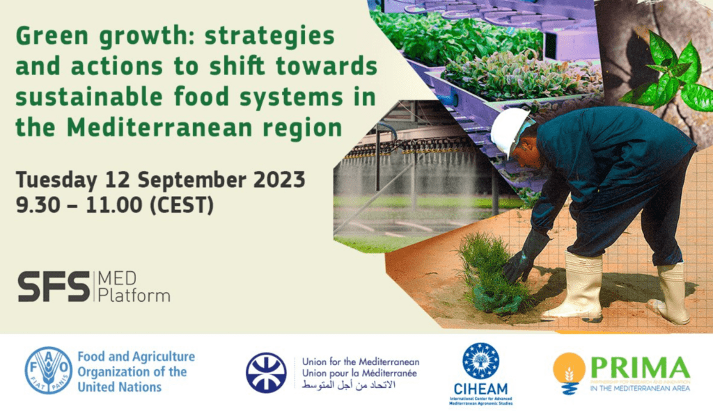 Outcome document published ➡ SFS-MED Webinar “Green growth for sustainable agrifood systems in the Mediterranean region”